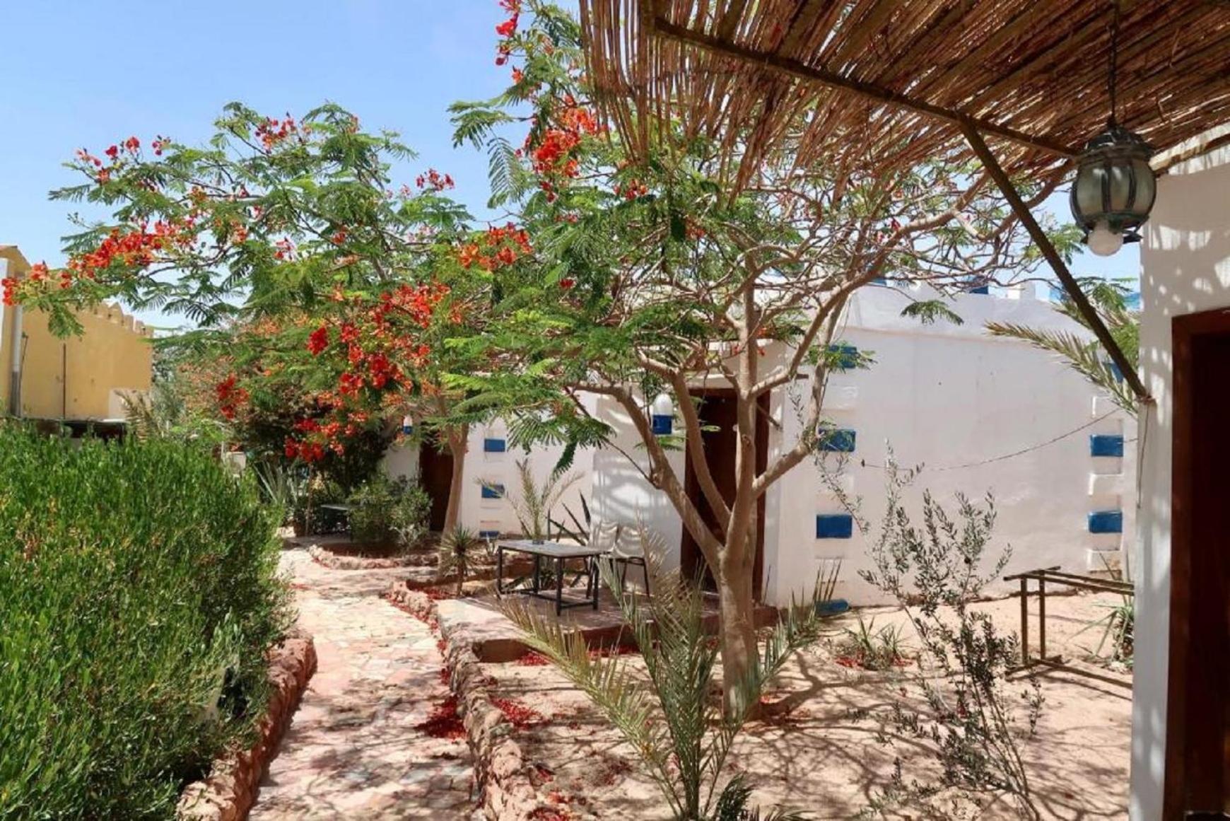 Bedouins Inn Village Aqaba Exterior photo
